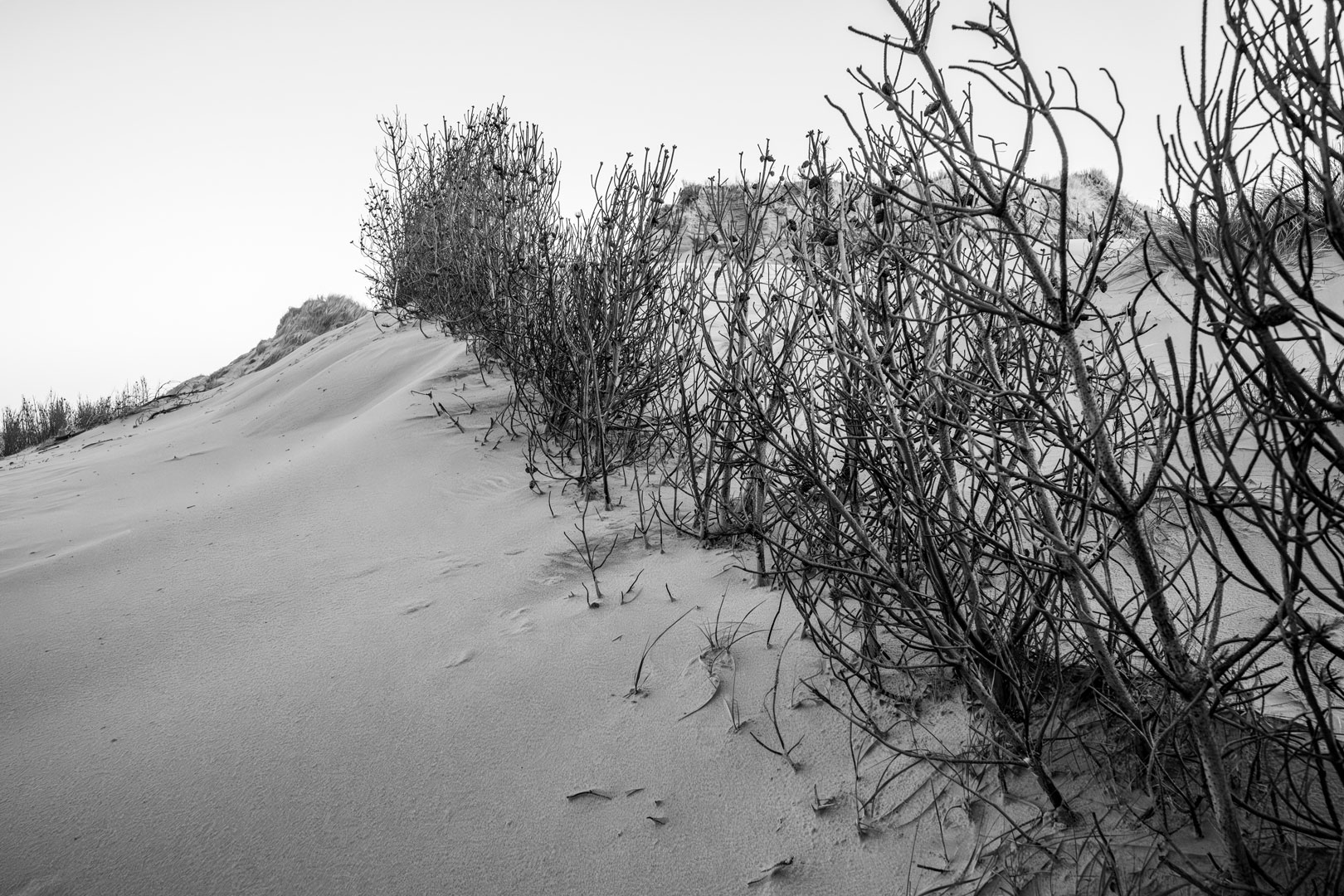 Det-der-forsvinder-09-12-25-NKJ-11