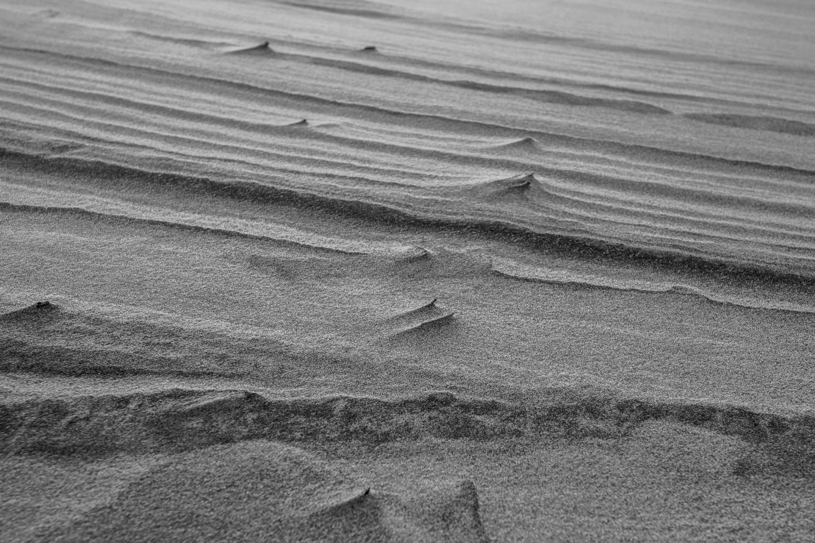 MidlertidigLandskaber-1Dec-NKJ_01-16