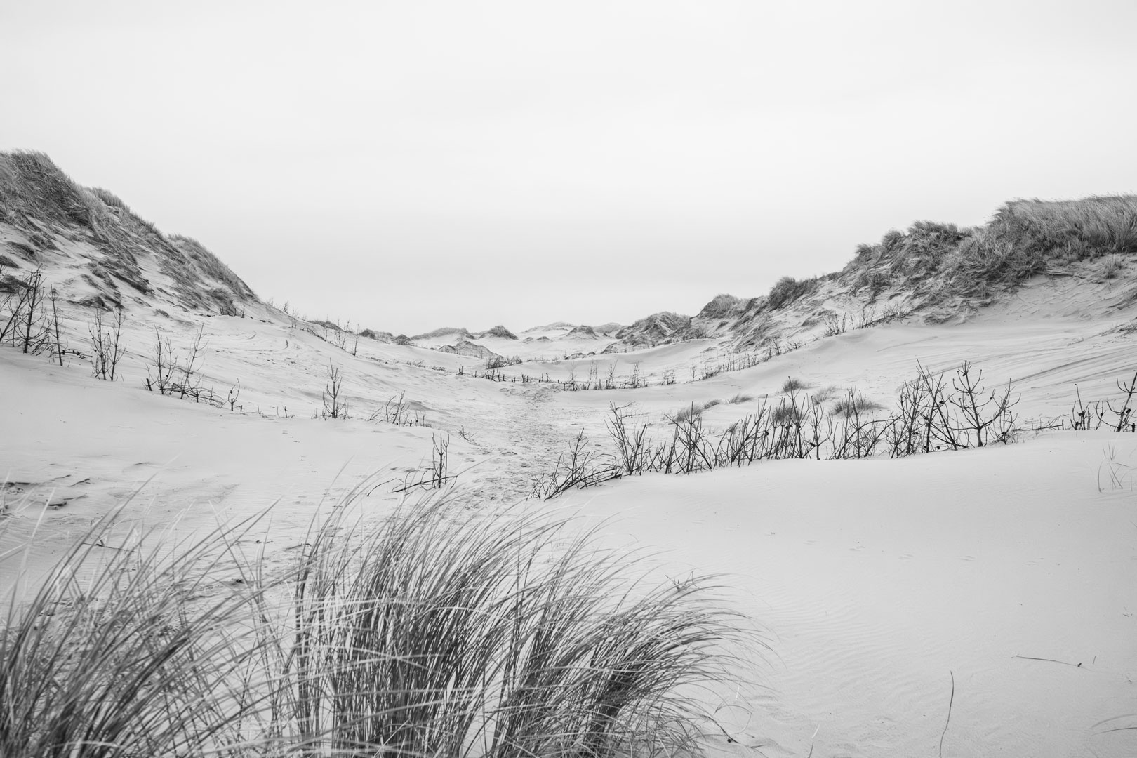 MidlertidigLandskaber-2Dec-NKJ--20-2